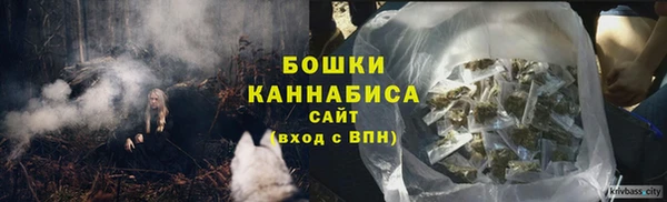 тгк Бронницы