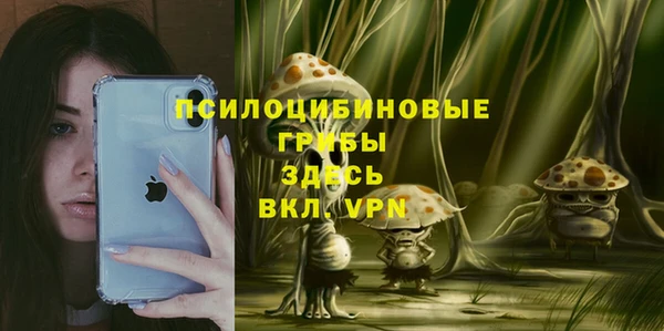 тгк Бронницы